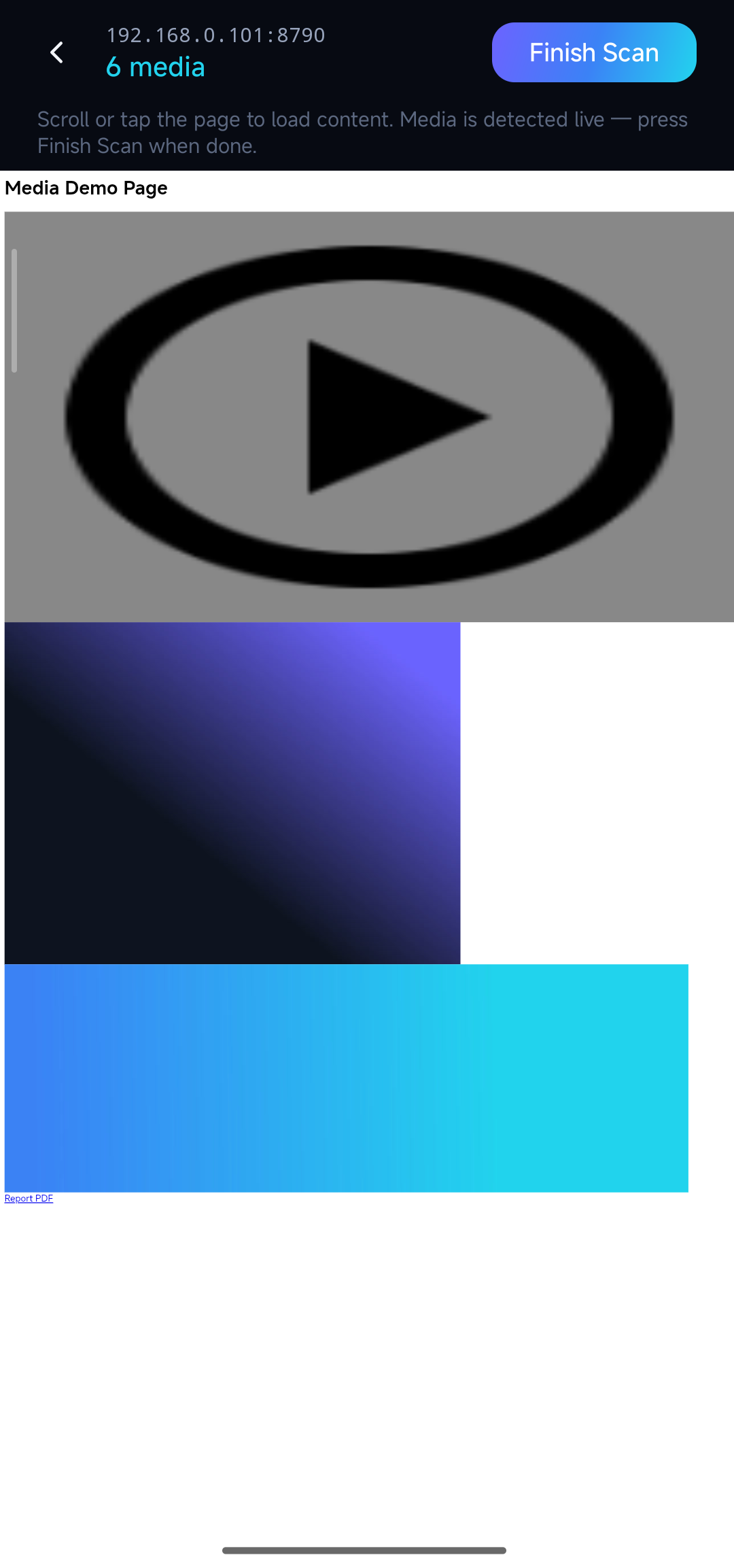 In-app browsing view loading a page while the scanner watches network requests